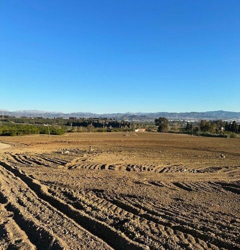Activos agrarios de Úbeda