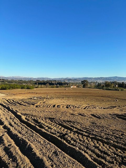 Activos agrarios de Úbeda