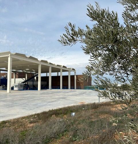 Almazara