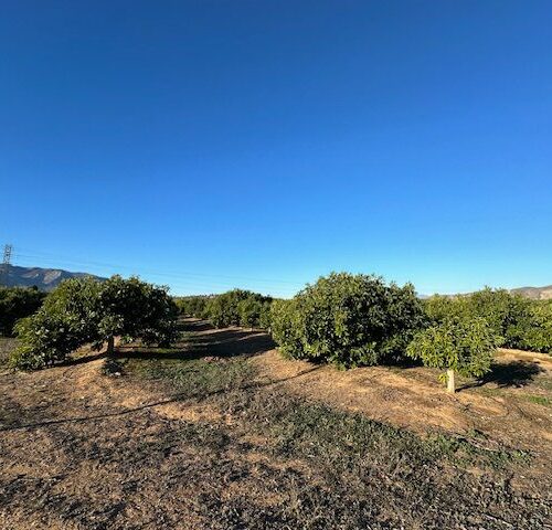 Finca Notario