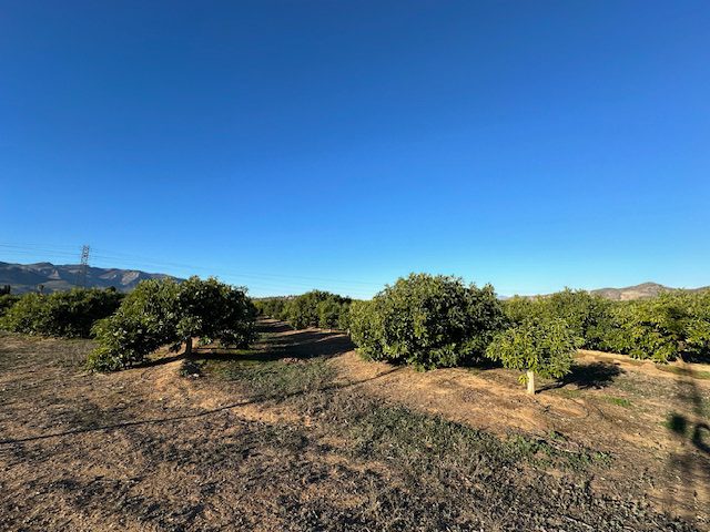 Finca Notario